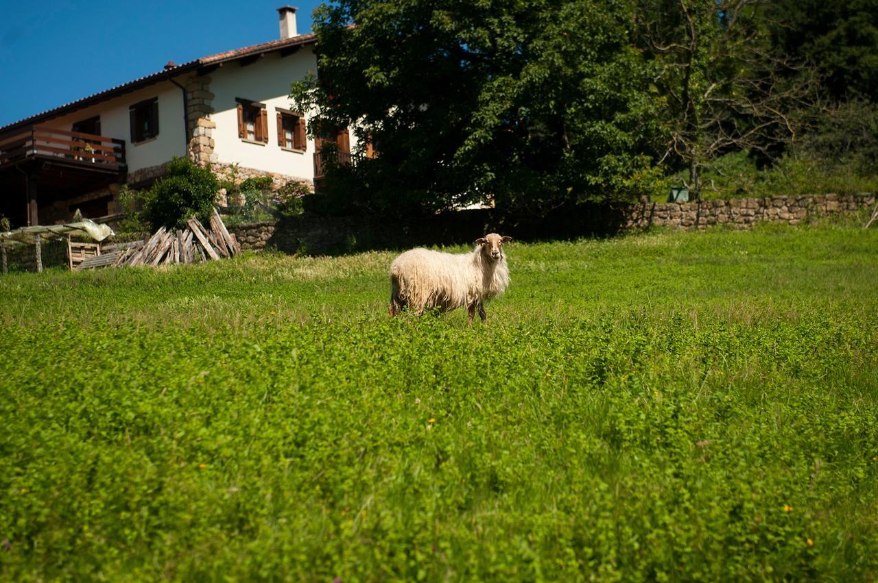 Penzion Casa Peluaga Oiartzun Exteriér fotografie